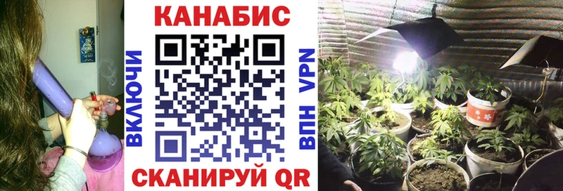 Купить закладку Бошки Шишки  МЕФ  COCAIN  Псилоцибиновые грибы  Гашиш  Соль-Илецк