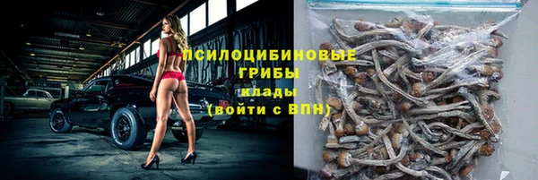 дживик Слюдянка