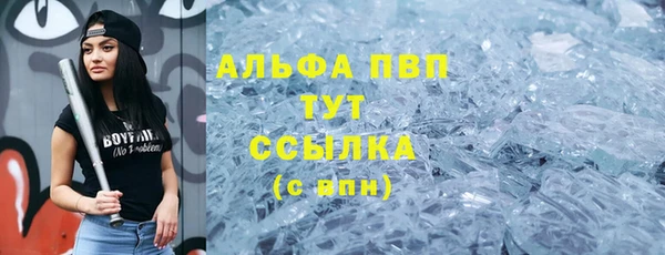 spice Снежногорск