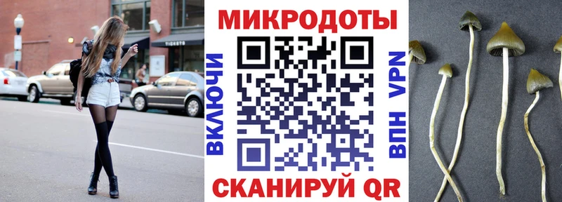 Купить  Соль-Илецк  Галлюциногенные грибы мицелий 